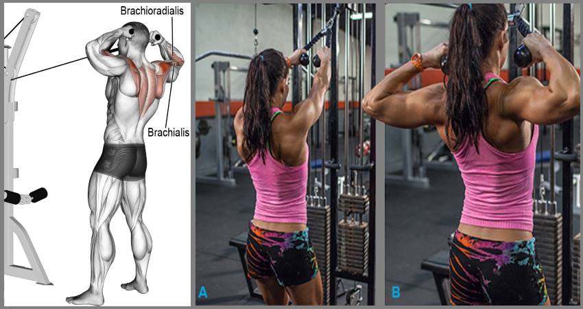 Why Face Pulls Are a Essential Addition to Your Training Arsenal