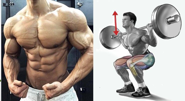 Best Pre-Exhaust Exercises for Every Muscle Group