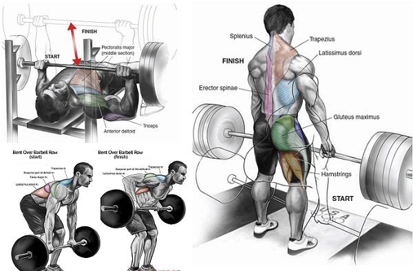 The 5 Best Compound Movements for Maximum Gains