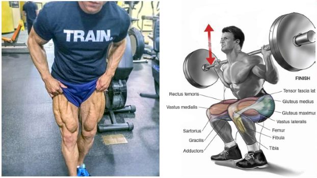 The Mass-Building Leg Workout Routine
