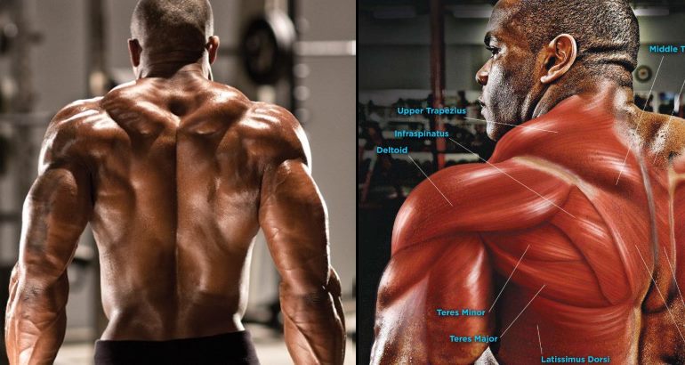 3 Exercises to Build Up Your Traps
