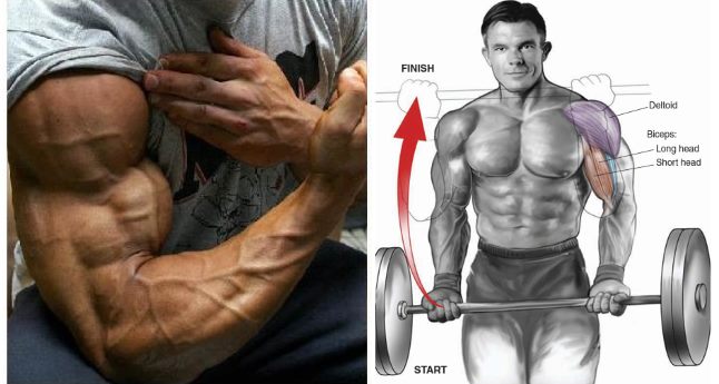 Blast Your Arms With This High Volume Workout