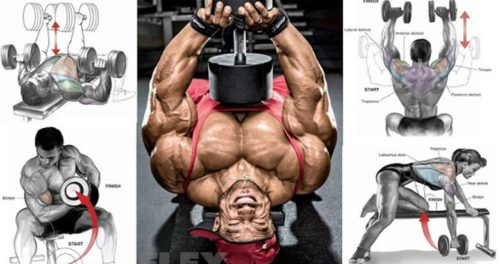 4 Day Upper/Lower Dumbbell Workout Routine 4 Day Upper/Lower Dumbbell Workout Routine