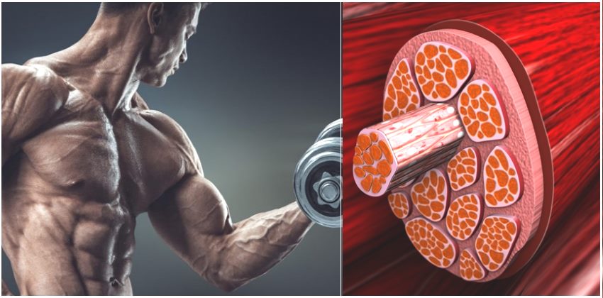 Combining Vitamin C with Arginine can give you a Nitric Oxide bo