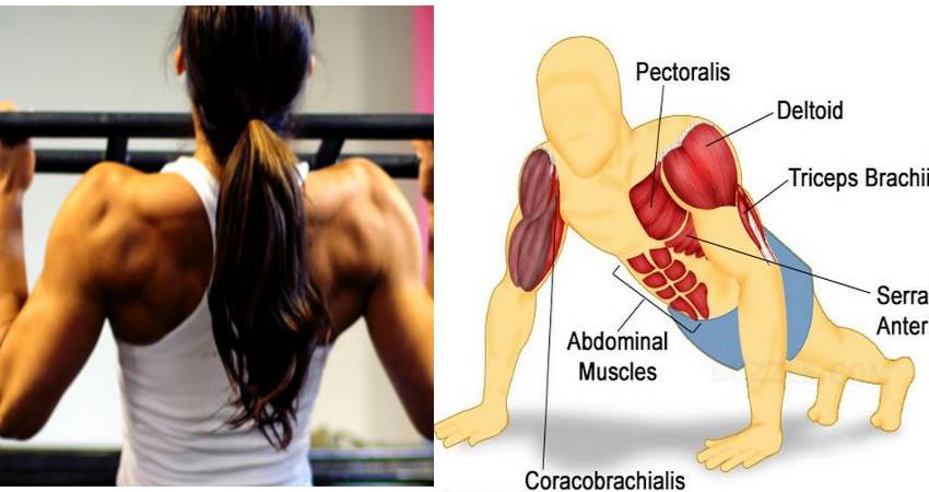 7 Exercises for Fast Pump and Posture Correction