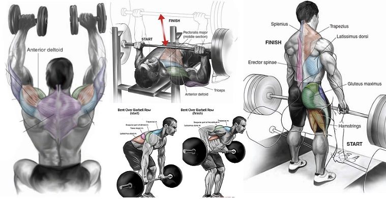 10 Best Exercises for Building Lean Muscle Mass