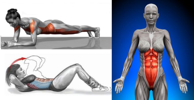 Plank vs. Crunch: Which Is the Best Exercise for Abs and Core?