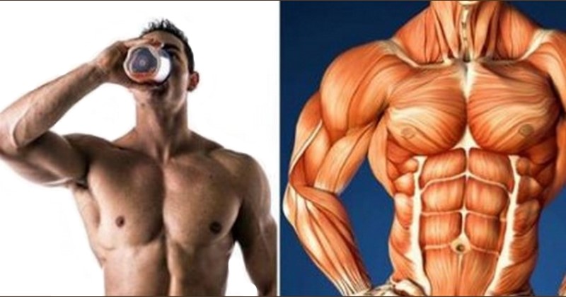 6 Golden Supplements for Maximum Muscle Gains