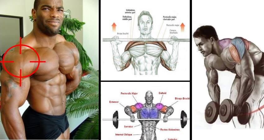 Improve Shoulder Size and Strength With This 4 Week Protocol Improve Shoulder Size and Strength With This 4 Week Protocol