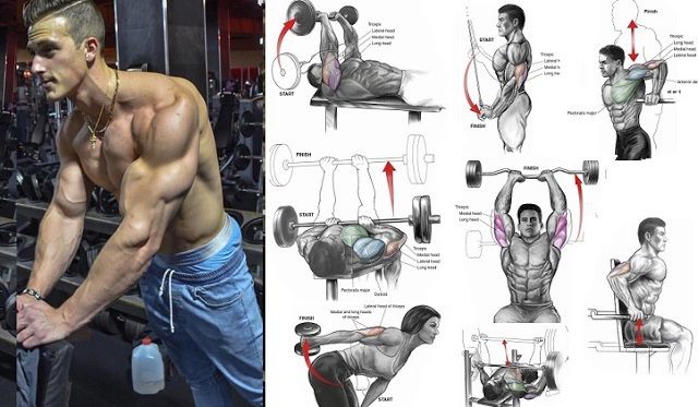 Top 8 Triceps Movements For Mass